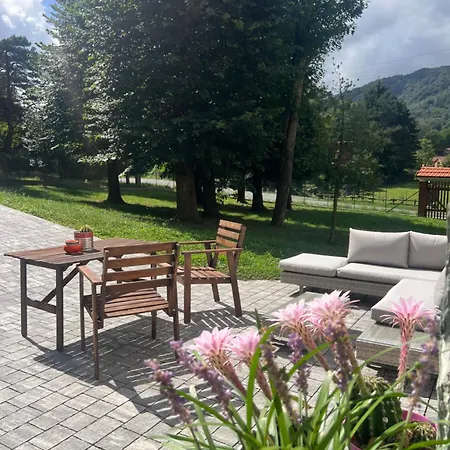 Il Lupo E Il Filosofo