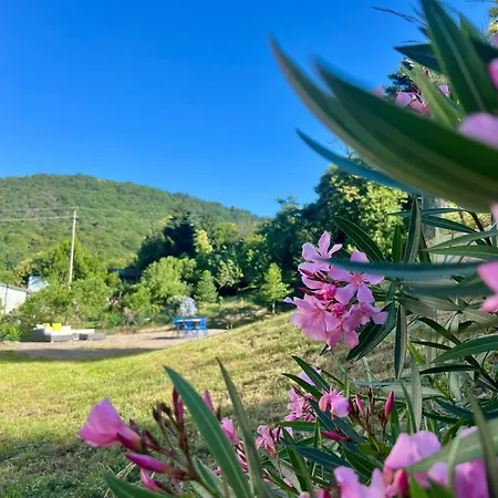 Bed & Breakfast Il Lupo E Il Filosofo Pontinvrea